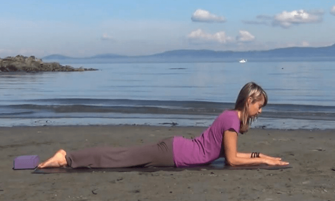 postura da esfinge para fazer em casa diversos exercicios de ioga