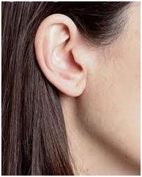 Orelha de uma mulher